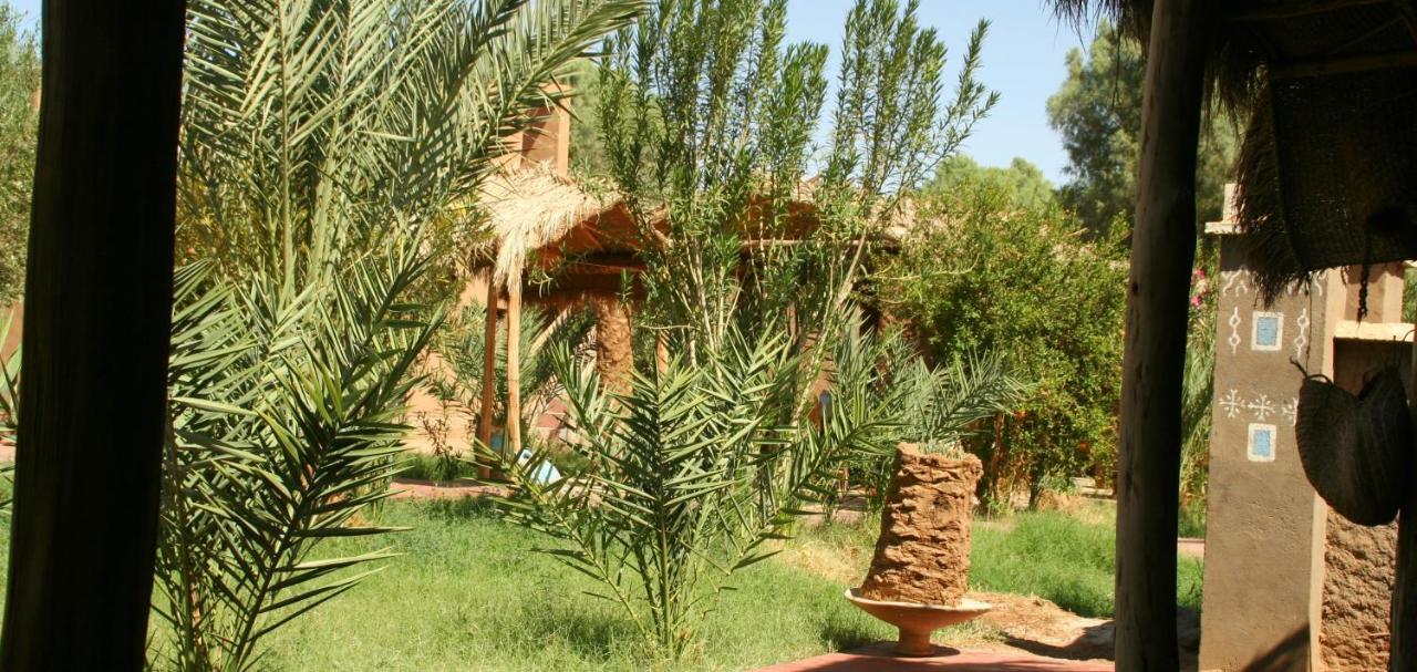 Hamada Du Draa Bed and Breakfast M'Hamid Buitenkant foto