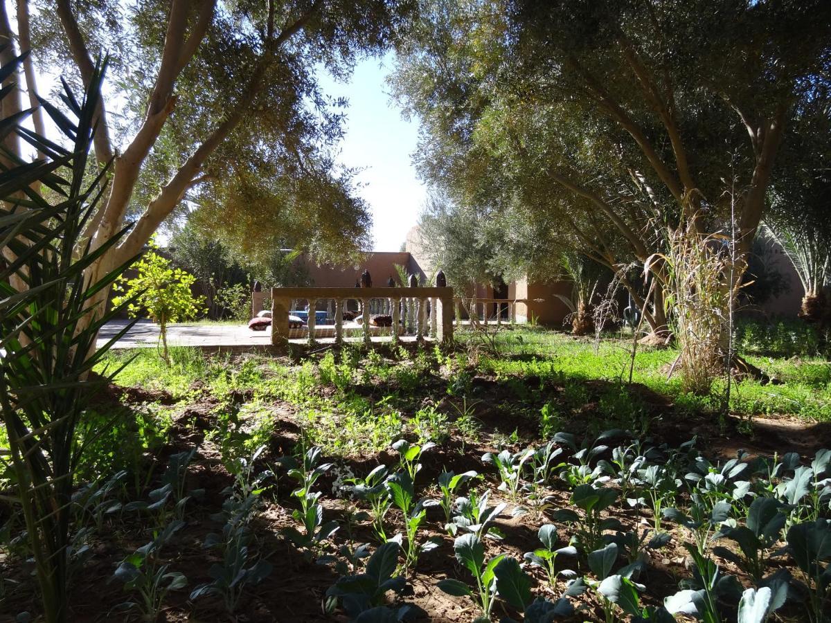 Hamada Du Draa Bed and Breakfast M'Hamid Buitenkant foto