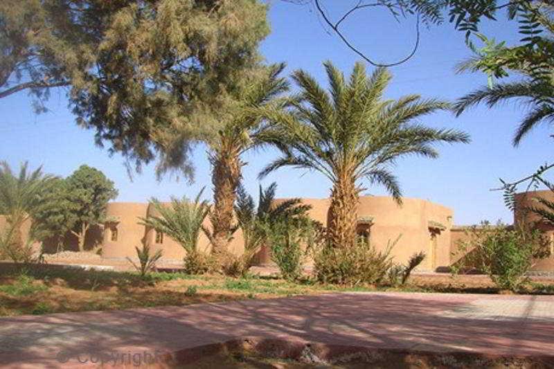 Hamada Du Draa Bed and Breakfast M'Hamid Buitenkant foto