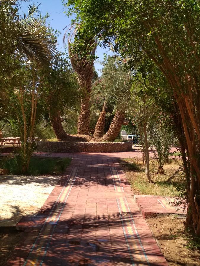 Hamada Du Draa Bed and Breakfast M'Hamid Buitenkant foto