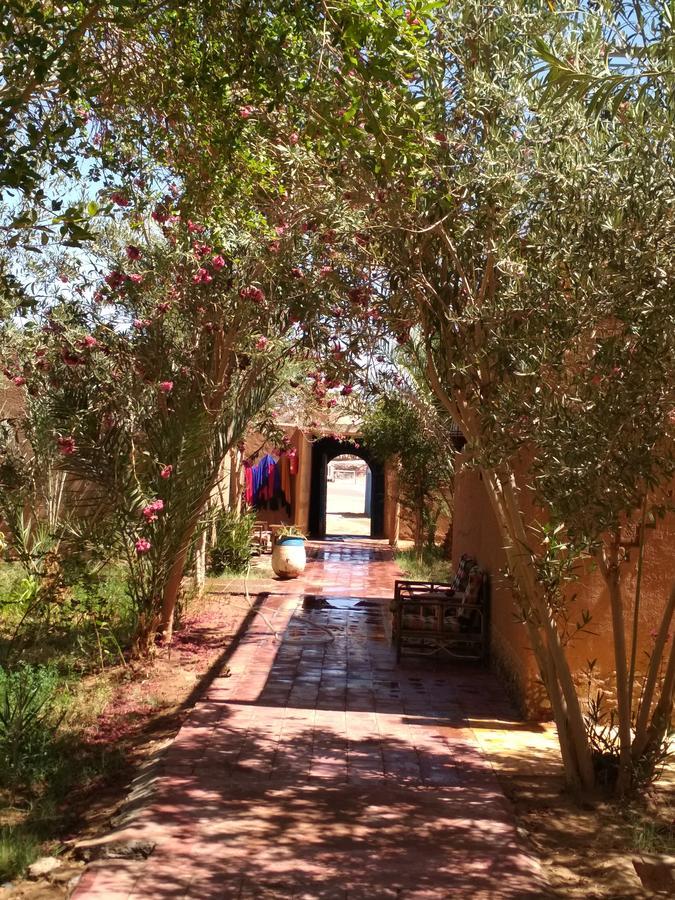 Hamada Du Draa Bed and Breakfast M'Hamid Buitenkant foto